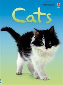 Why do cats purr? How do cats say hello? Which cat has no tail? In this book you’ll find the answers and lots more about the curious world of cats.