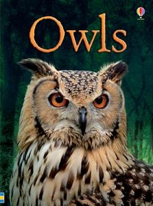 A fascinating introduction to owls, including nesting, hunting, living at night and camouflage. How do owls find their way in the dark? What do they eat? What is a baby owl called? Find out the answers to these questions and many more. Simple explanations are brought to life with step-by-step illustrations and full color photographs. Includes a full glossary and internet links to exciting websites to find out more. (6yr & up)