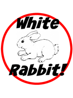 White Rabbit 1st of the month Linky Party!