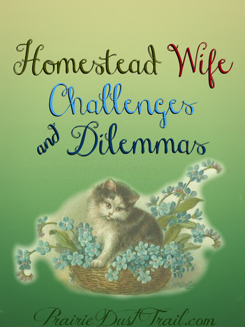 Homestead Wife Challenges and Dilemmas