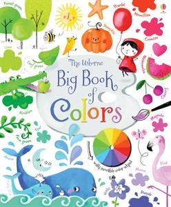 A large, sturdy board book introducing all the colors of the rainbow and their many variations, with lots of color vocabulary such as turquoise, magenta and vermilion, and color descriptions such as navy, lime and rose. The acetate page shows how colors mix and change when combined with others.