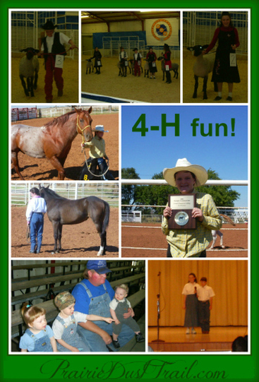 Our family is involved in very few organized activities. Even our involvement in 4-H is very limited.