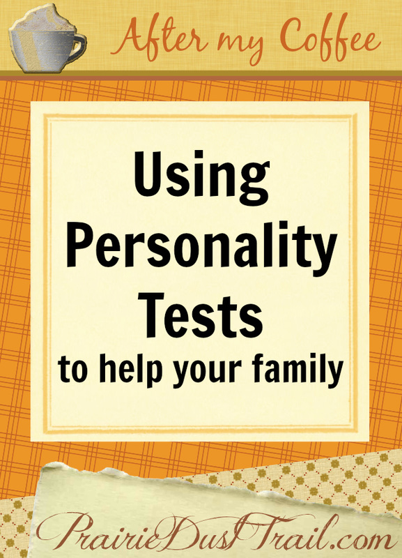 I spent the day yesterday doing personality tests with the children. I do this periodically. Why?