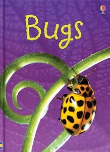 There are thousands and thousands of different types of bugs in the world. Find out all kinds of creepy-crawly things about them in this fascinating book.