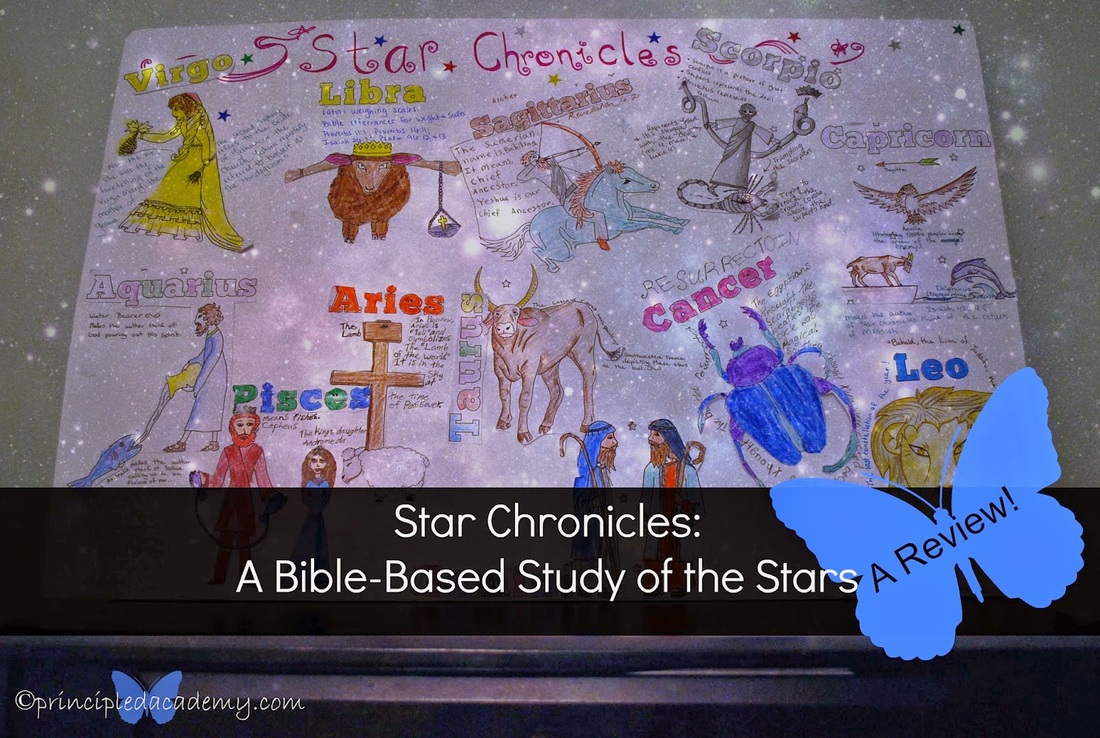 Star Chronicles Review by Principled Academy Blog