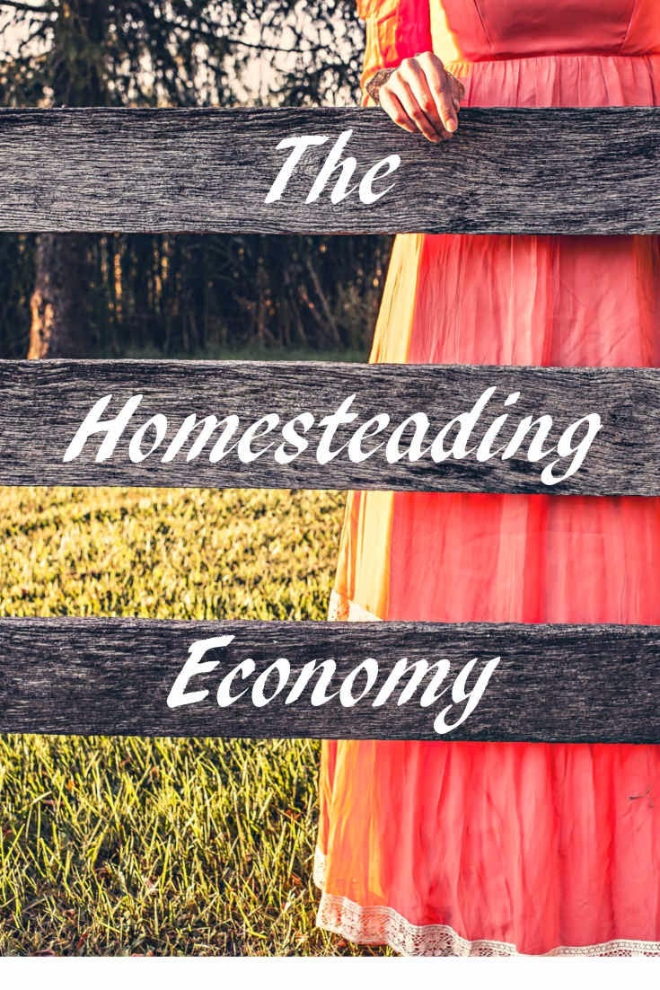 Your homesteading economy is not going to look exactly like mine, but have you ever thought about what you have – resources and skills – to help you live without a regular job? Many people talk about preparing for 