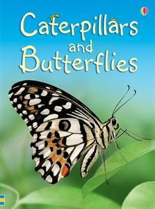 How do caterpillars turn into butterflies? What do butterflies eat? What is a moth? In this book you’ll find the answers and lots more about these fascinating insects. Caterpillars and Butterflies is part of an exciting series of books for children who are beginning to read on their own. The easy-to-read text has been specially written with the help of a reading expert.