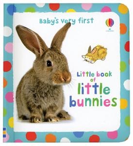 A gorgeous book full of pictures of cute little bunnies cuddling, nibbling, sniffing, hopping and washing.