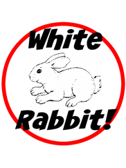 White Rabbit 1st of the Month Linky Party