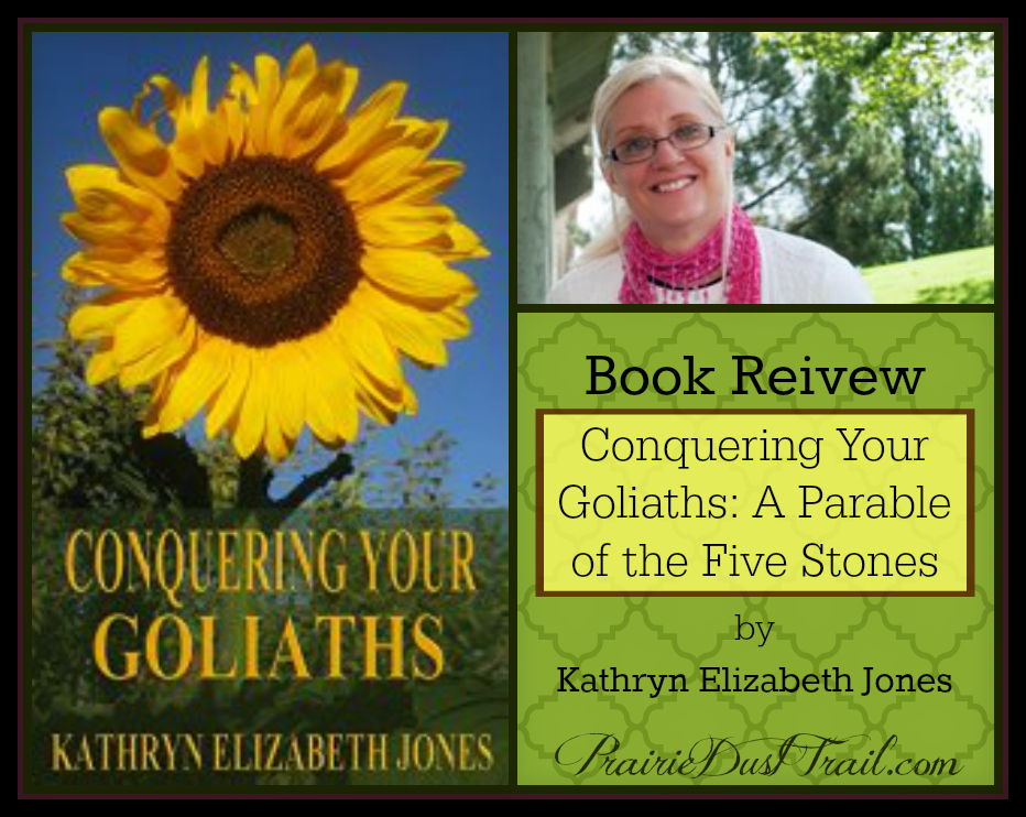 Conquering Your Goliaths: A Parable of the Five Stones