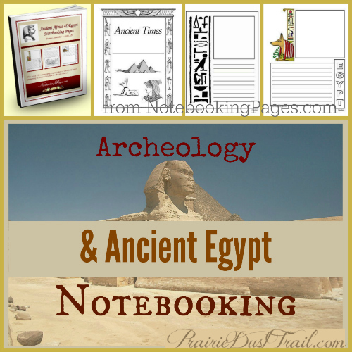 NotebookingPages.com has a WIDE variety of pages that can be used for nearly anything you can imagine. 