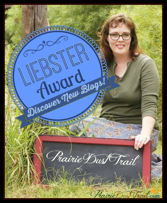 What is the Liebster Award? It's an honor bloggers give each other as encouragement. 