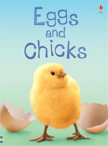 Which bird lays the biggest egg in the world and how do tiny chicks learn to fly? In this book you’ll find the answers and lots more about eggs and chicks.