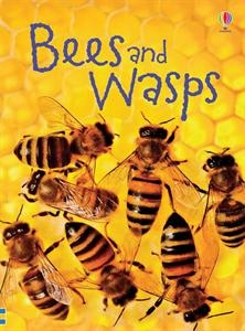 The latest title in the popular Beginner's series explains how these fascinating insects build their nest, commuicate and work together. It also covers pollination, how they defend themselves by stinging and how honey is made and collected.