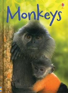 What do monkeys like to eat and who are their enemies? How do monkeys 'talk' to one another, and what other clever things can they do? In this book, you'll find the answers to these questions and lots more about monkeys too.