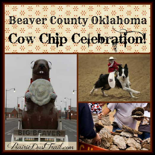 What do the Dusty Dudes of the prairie do for fun? We throw cow chips as a competition sport. (Yes, anything can be a competition sport...)