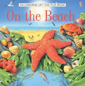 Lift the flaps in this book to uncover fascinating seashore sights. You'll come across beautiful fish, birds, boats, a lighthouse...and find tiny creatures hidden in the sand and rocks.