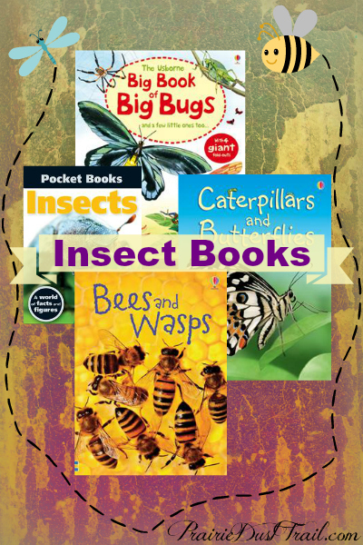 If you want to teach your children diligence & determination, study insects with them. Memorize some of these scriptures together and thank God for giving us such wonderful examples.