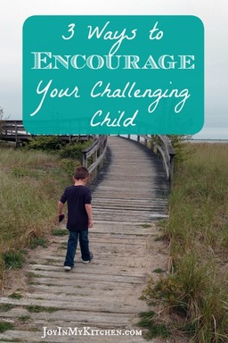 Three Ways to Encourage Your Challenging Child from JoyInMyKitchen.com