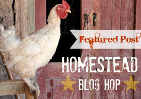 Homestead Blog Hop
