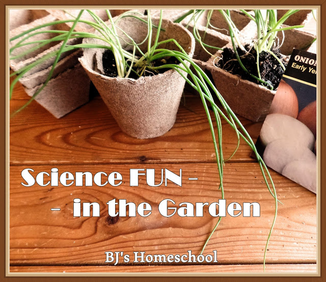 Science FUN in the Garden - with Printables - Growing Veggies Unit Study